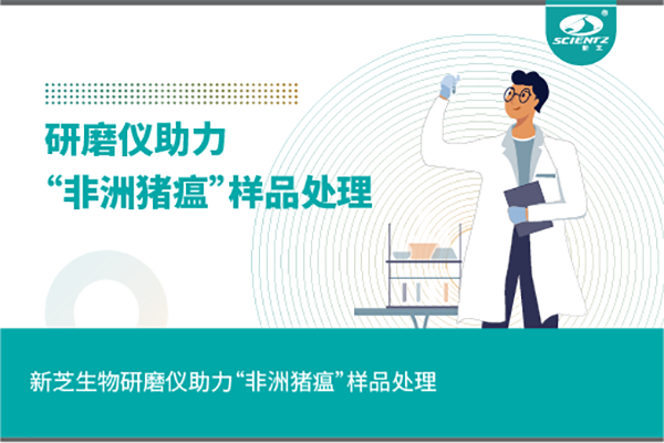 bsports必一生物组织研磨仪助力“非洲猪瘟”样品处理