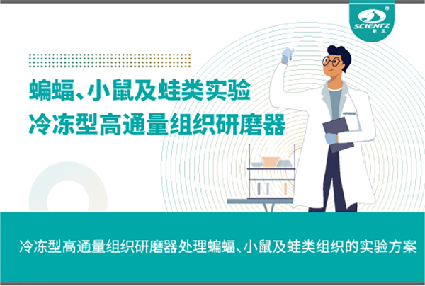 冷冻型高通量组织研磨器处理蝙蝠、小鼠及蛙类组织的实验方案
