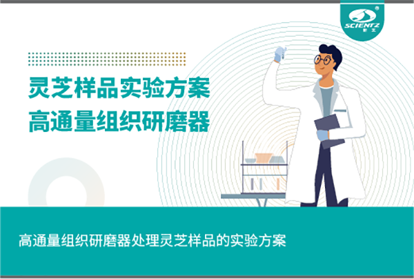 高通量组织研磨器处理灵芝样品的实验方案
