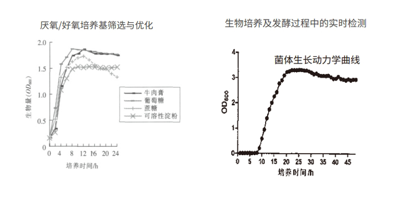 过程安全，结果精准